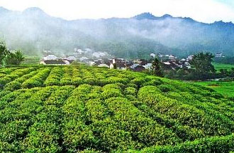 9月2日，財政部、稅務(wù)總局發(fā)布了關(guān)于繼續(xù)執(zhí)行邊銷茶增值稅政策的公告