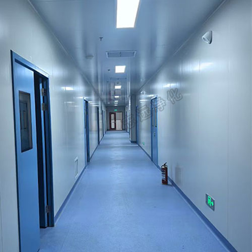 三門峽產(chǎn)業(yè)園標準廠房凈化裝修工程2-志遠凈化工程